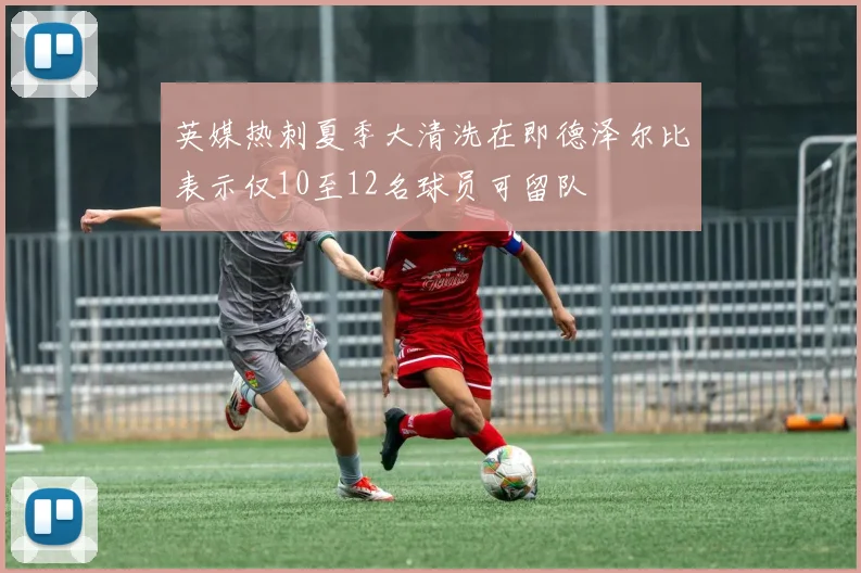 英媒热刺夏季大清洗在即德泽尔比表示仅10至12名球员可留队