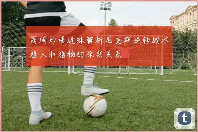 周琦妙语连珠解析尼克斯逆转战术猎人和猎物的深刻关系
